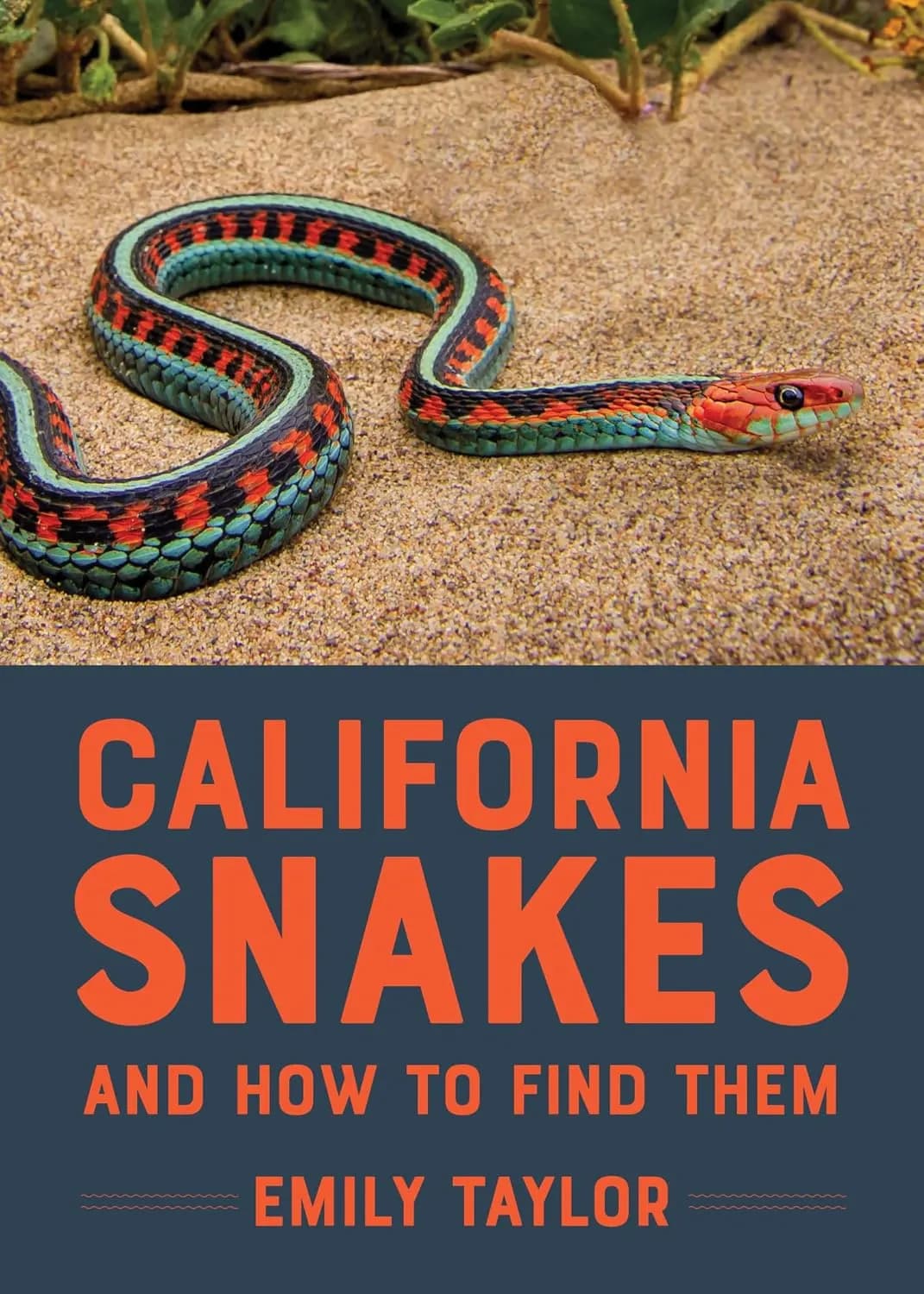 California Snakes and How to Find Them - Book Cover