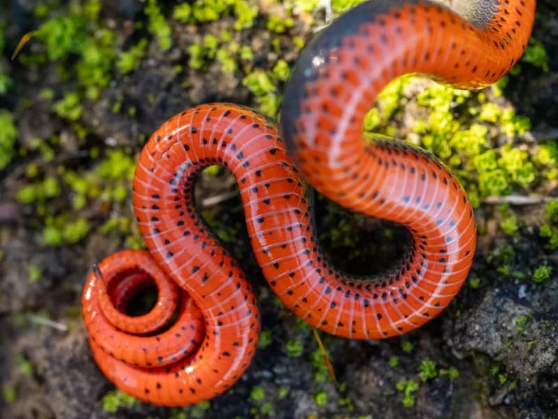 P1075232