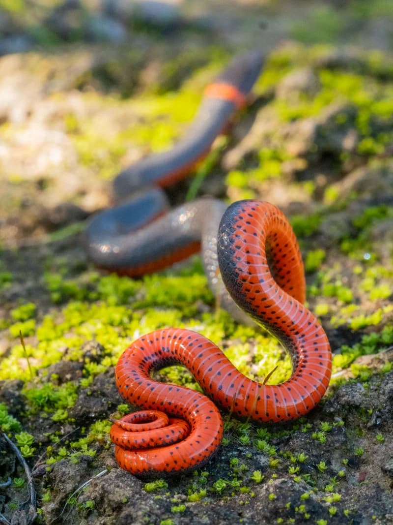 P1075247