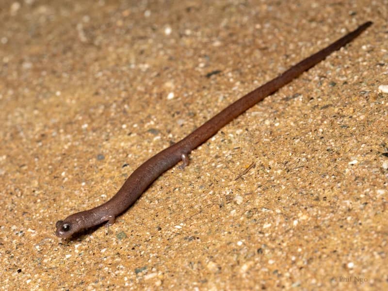 P1098821
