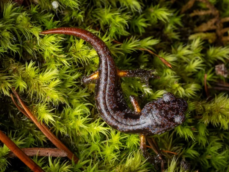 P1099322