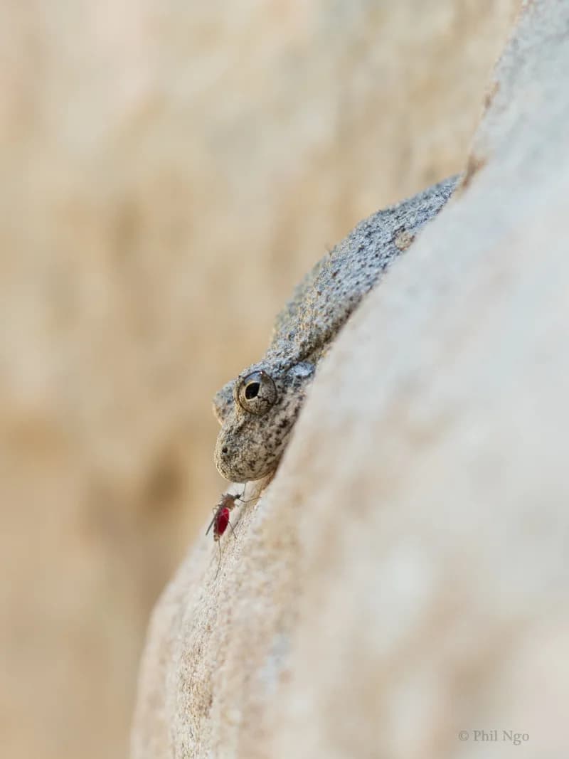 P1104653