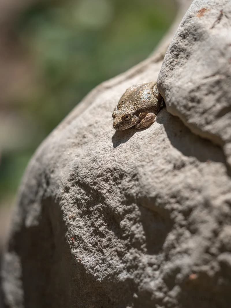 P1104660