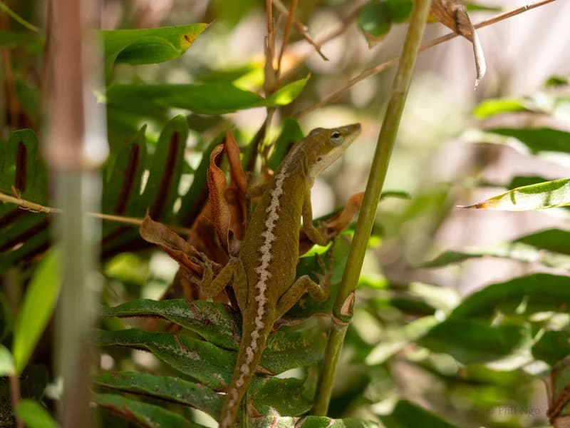 P1105150
