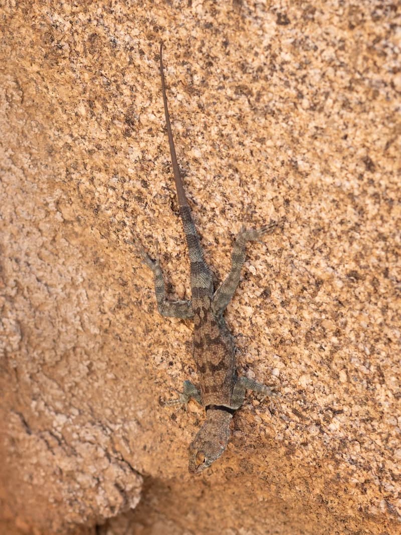 P1105768