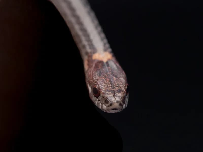 P1106022