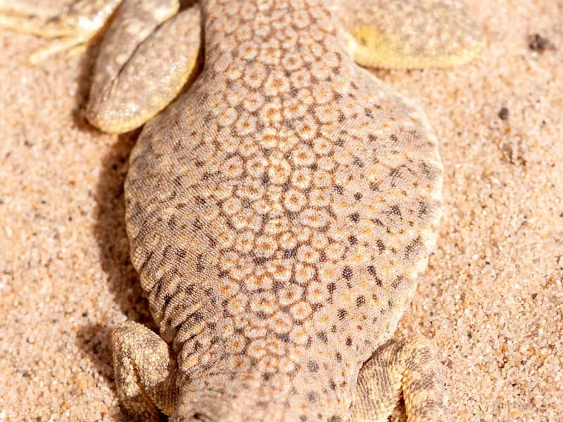 P1107481